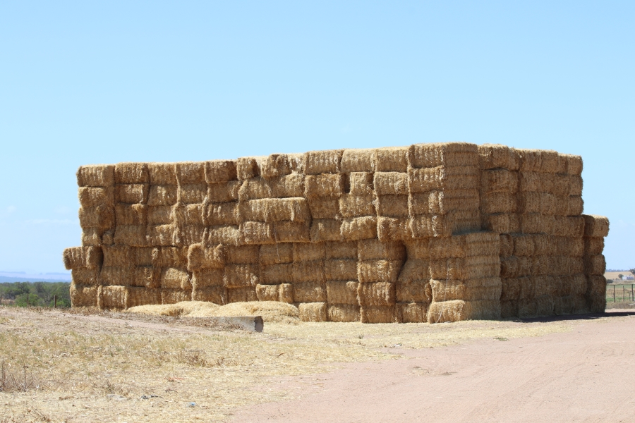 5 Bedroom Property for Sale in Darling Western Cape